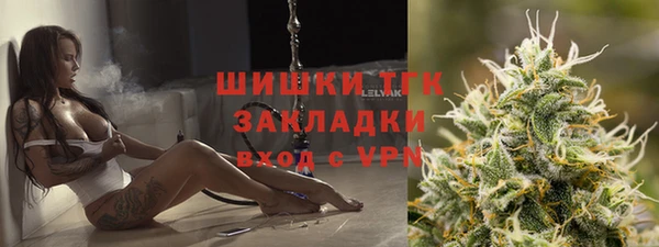тгк Бронницы