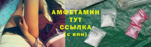 гашик Горняк