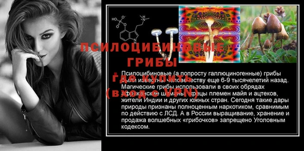 скорость Бородино