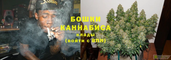 тгк Бронницы