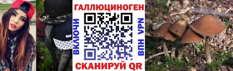 маркетплейс телеграм  Сургут  Псилоцибиновые грибы Cubensis  omg маркетплейс 